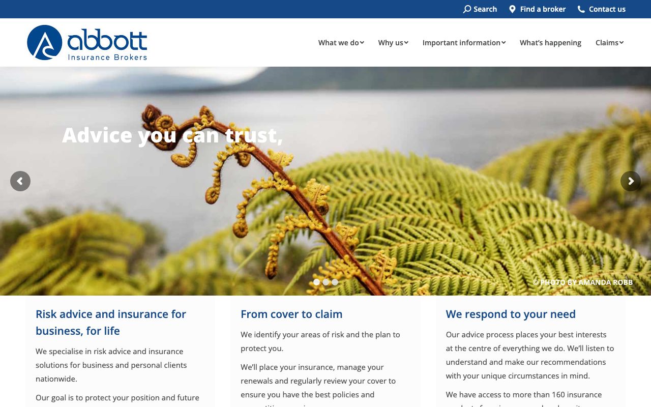 Preview of Abbott's website