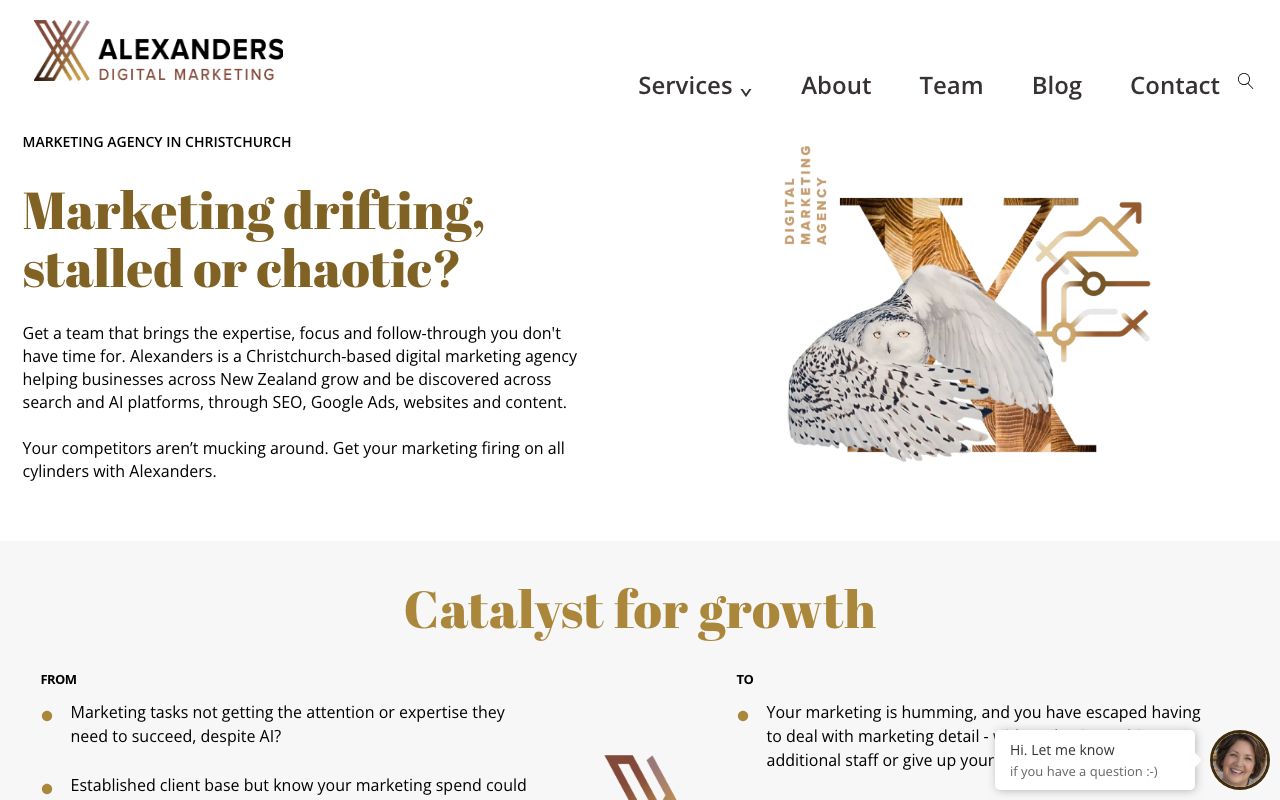Preview of Alexanders Digital Marketing's website