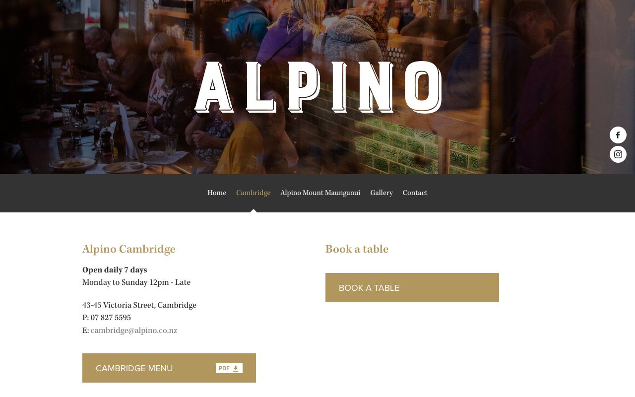 Preview of Alpino's website