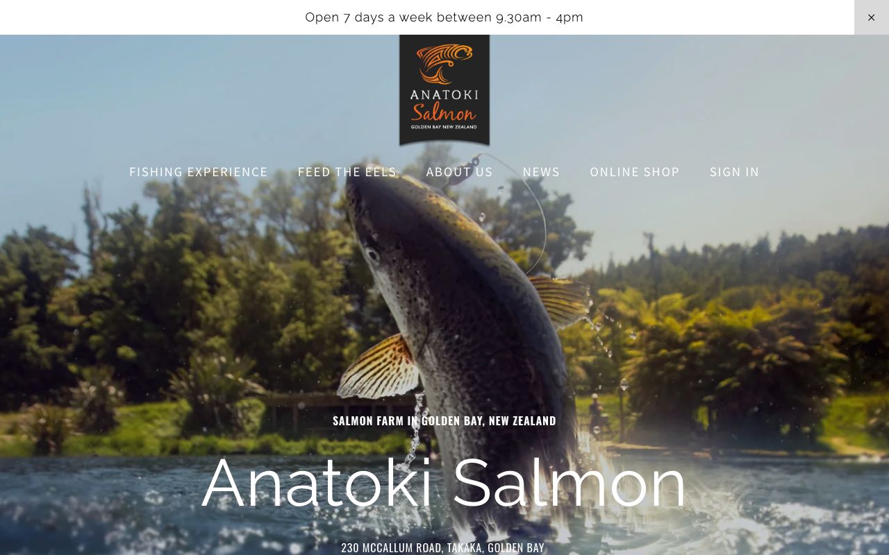 Preview of Anatoki Salmon's website