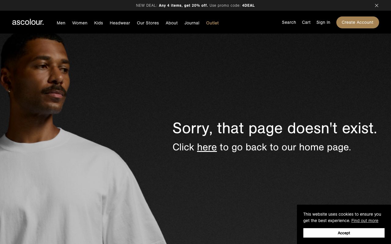 Preview of AS Colour's website