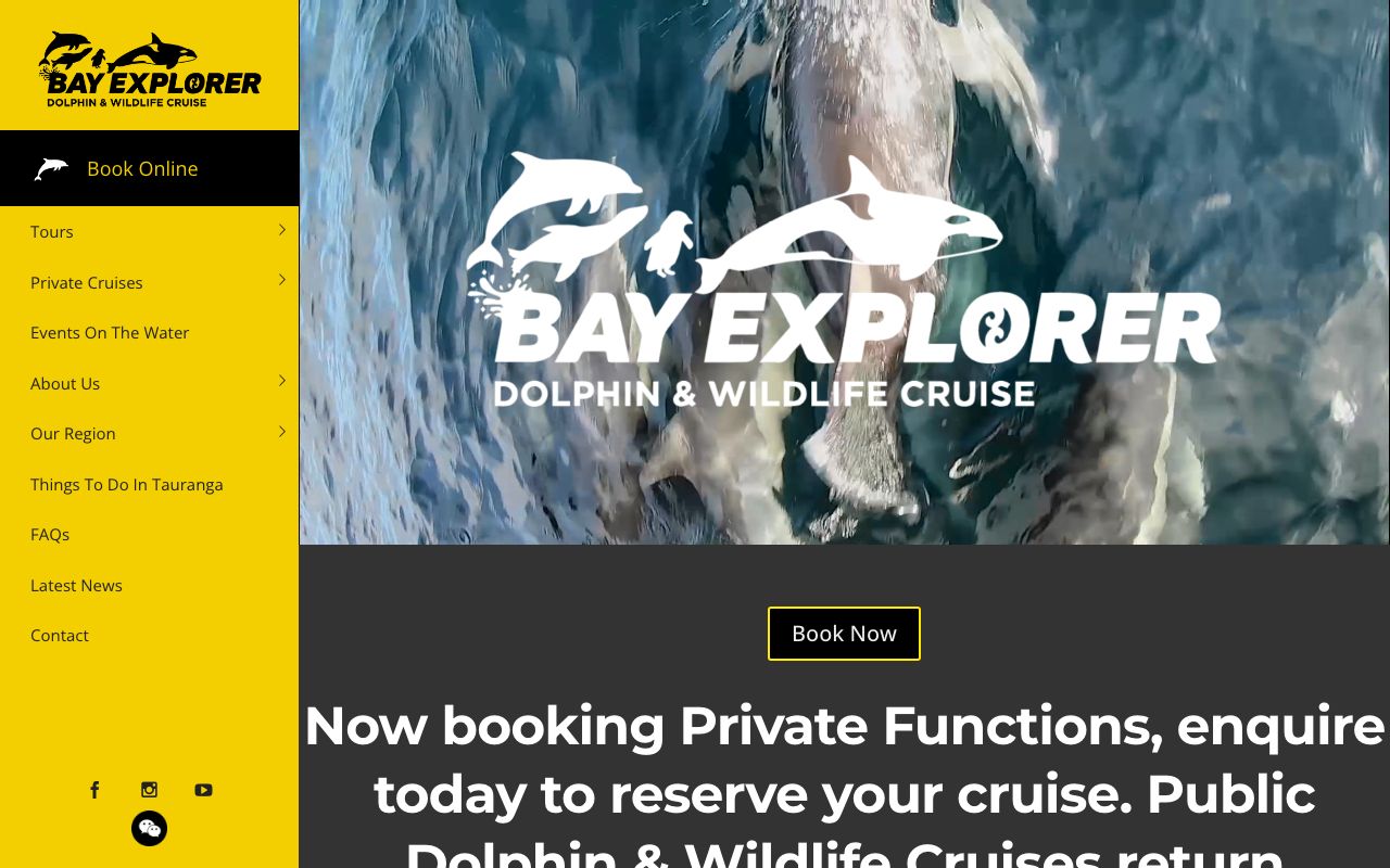 Preview of Bay Explorer's website