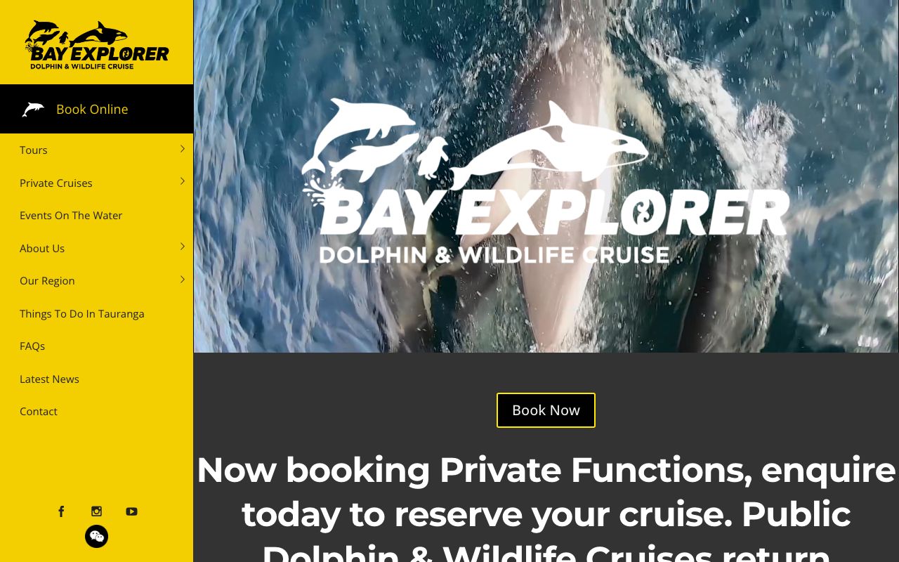 Preview of Bay Explorer's website