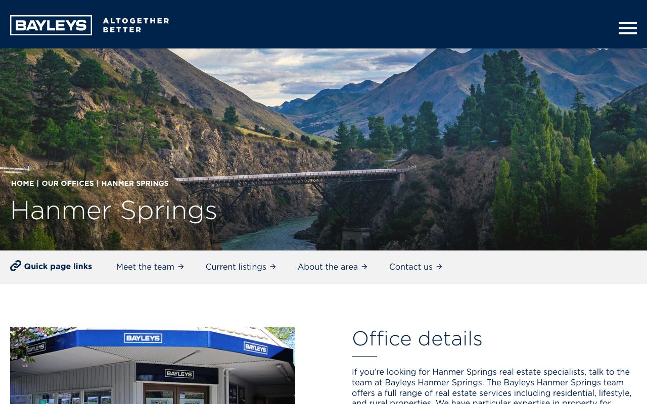 Preview of Bayleys's website
