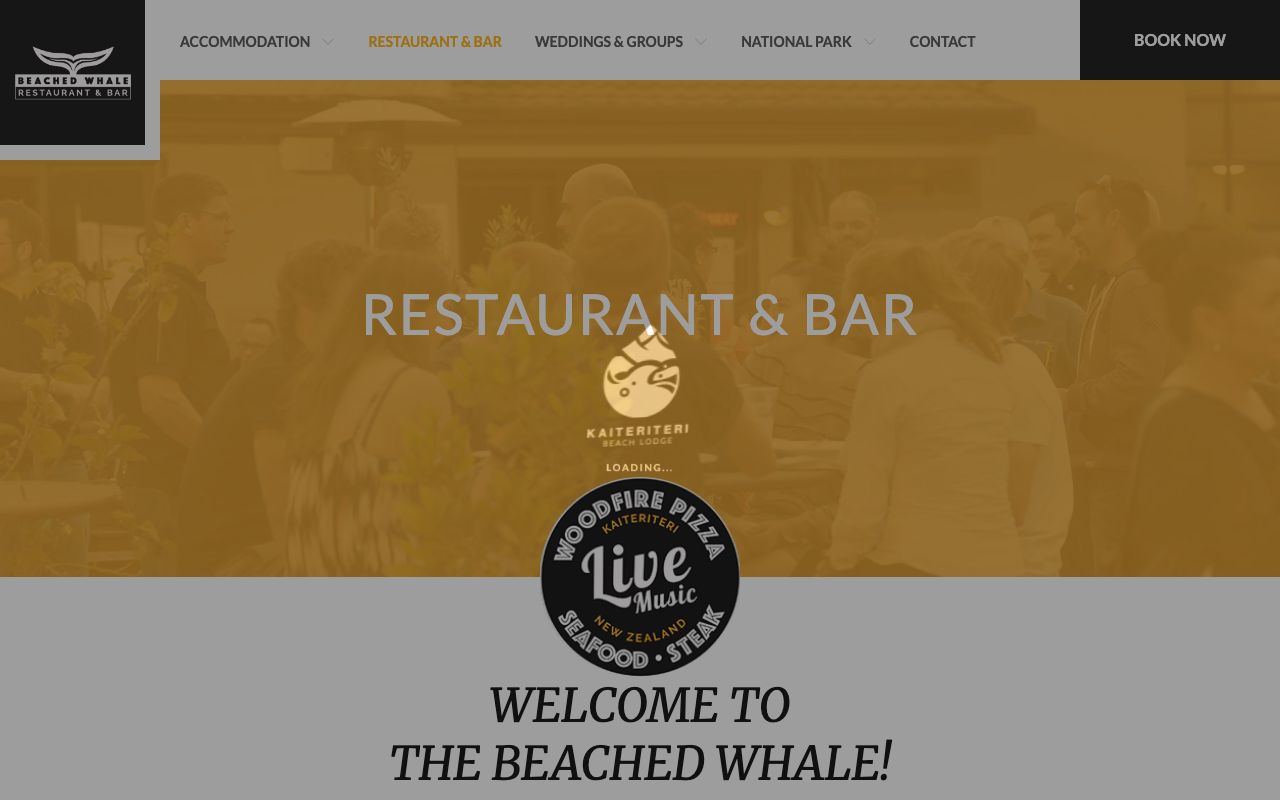 Preview of Beached Whale's website