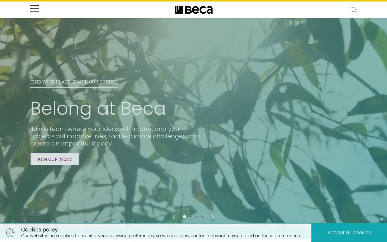 Preview of Beca's website