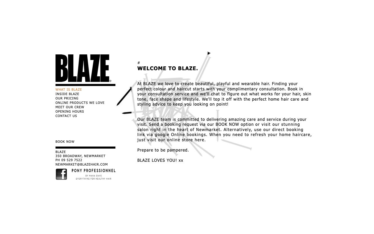 Preview of Blaze's website