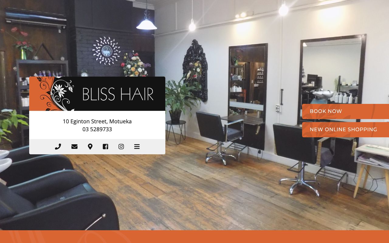 Preview of Bliss Hair's website