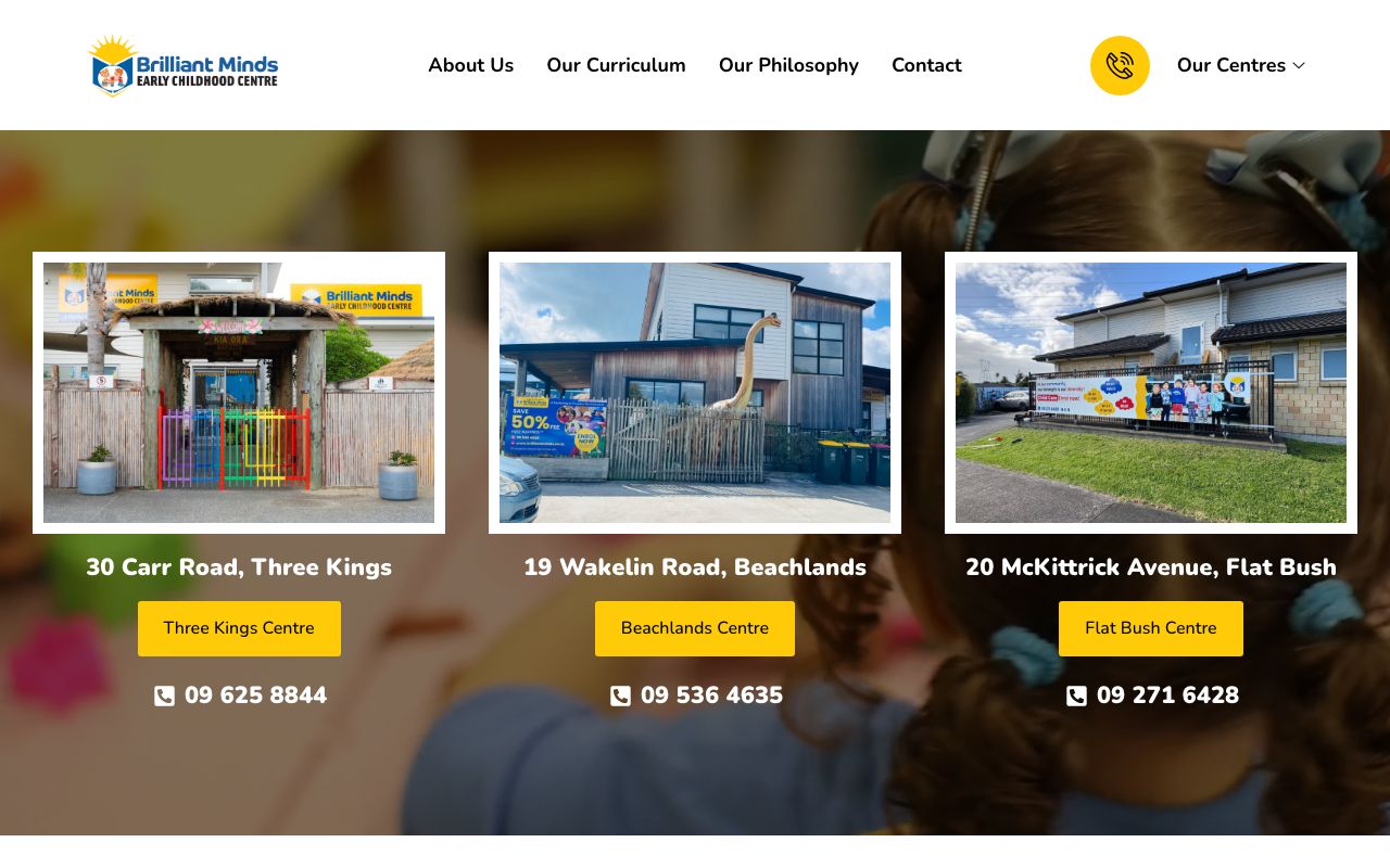 Preview of Brilliant Minds's website