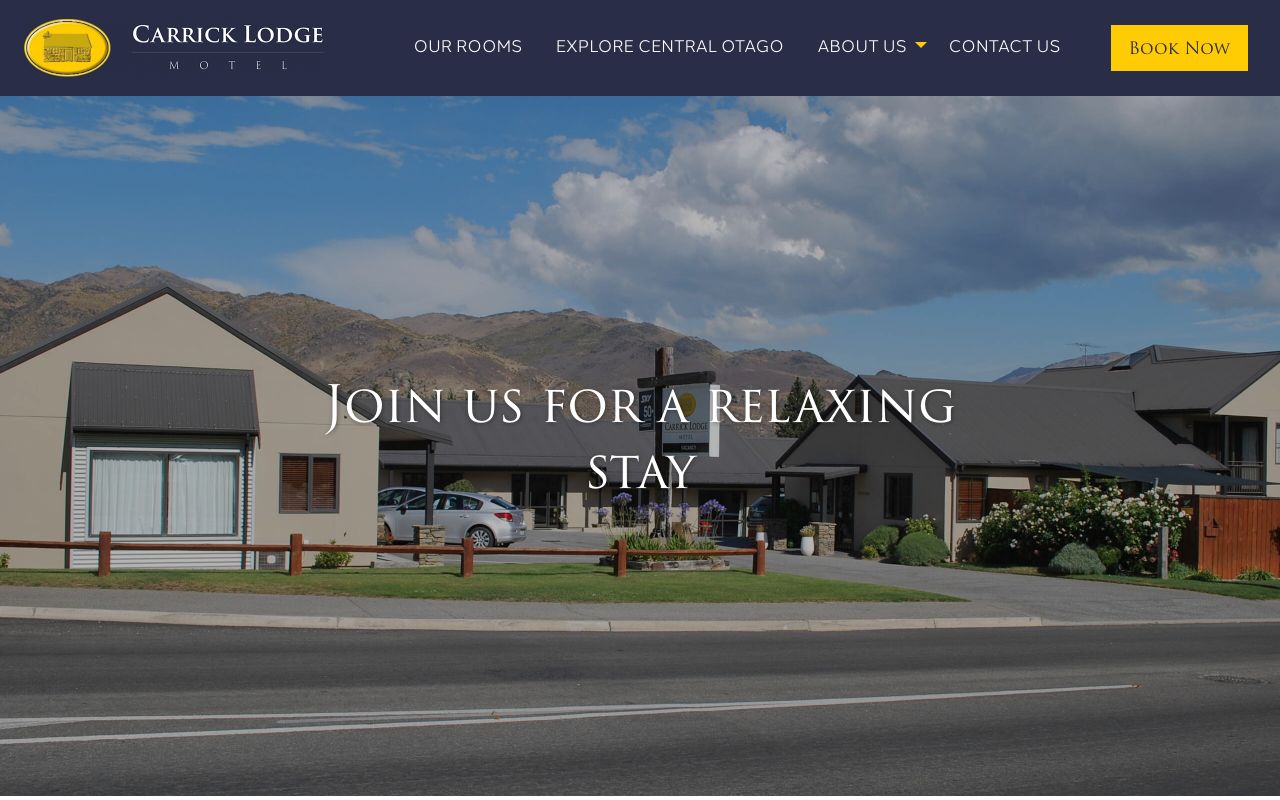 Preview of Carrick Lodge Motel's website