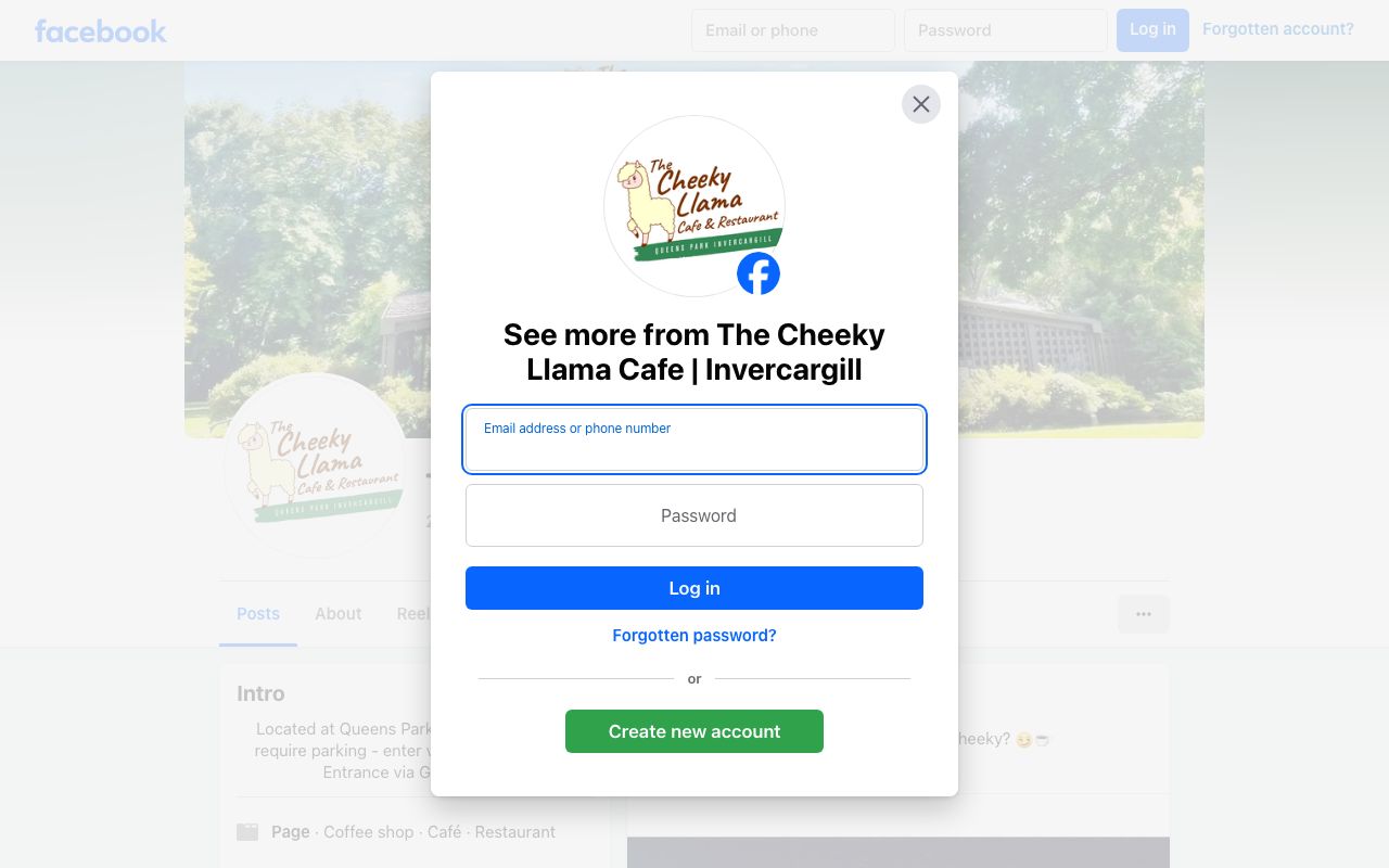 Preview of Cheeky Llama Cafe's website
