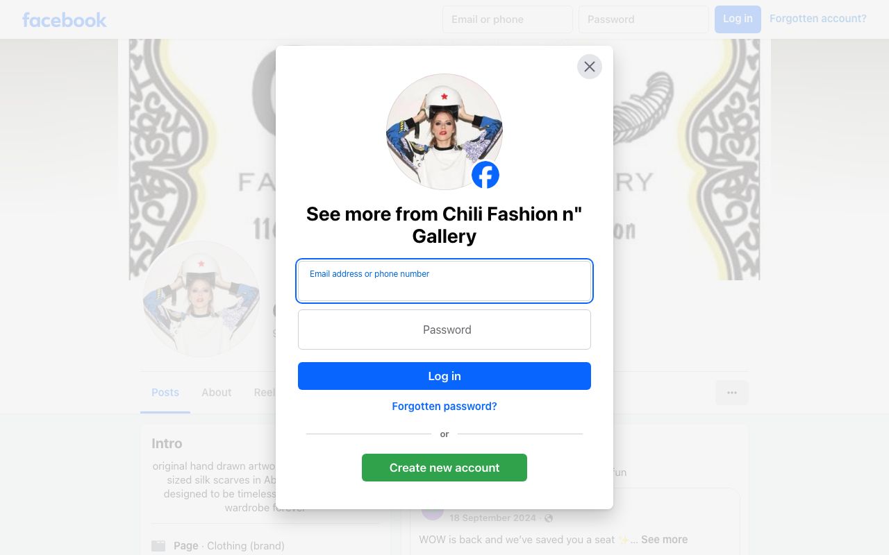 Preview of CHILI's website