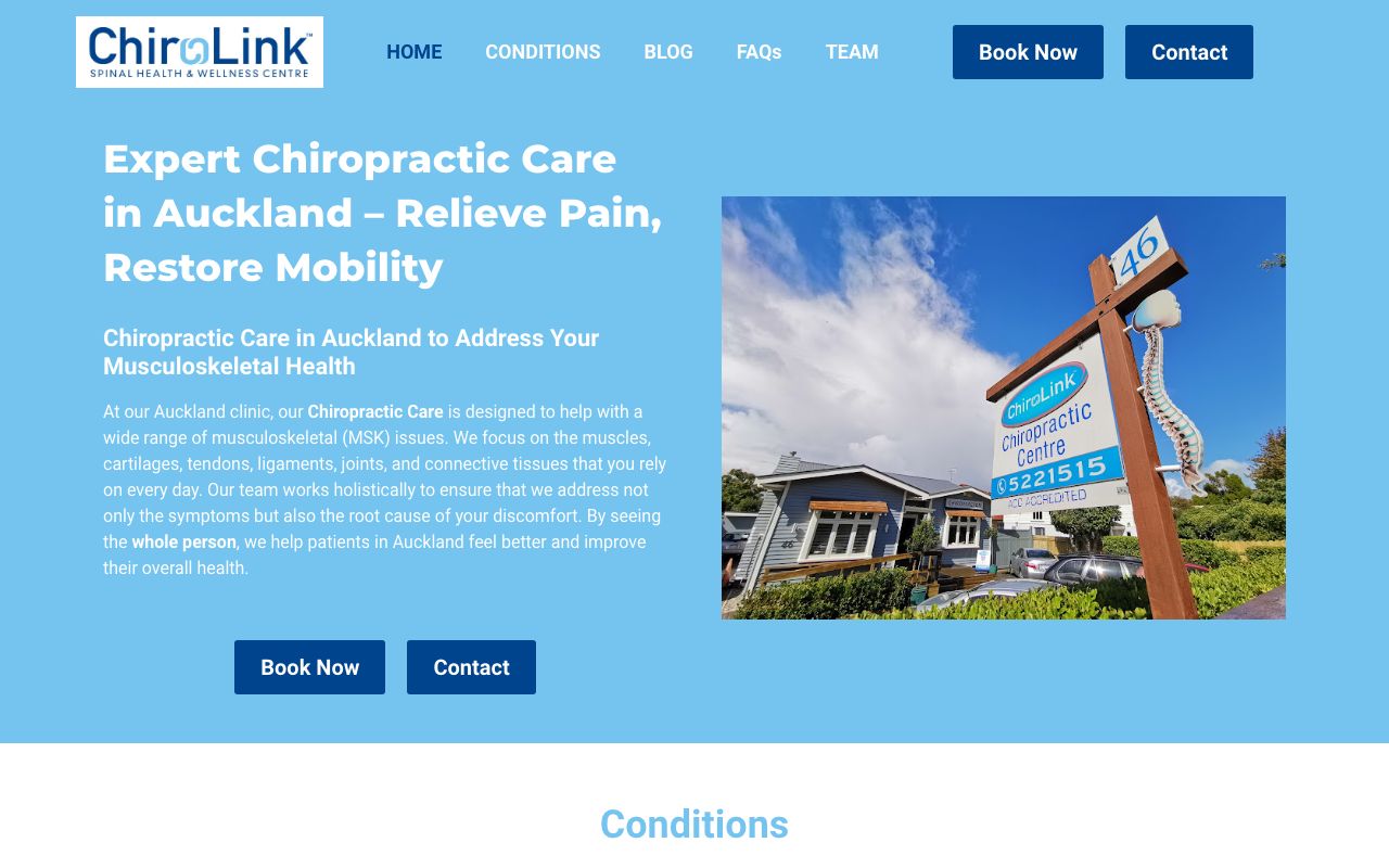 Preview of Chirolink's website