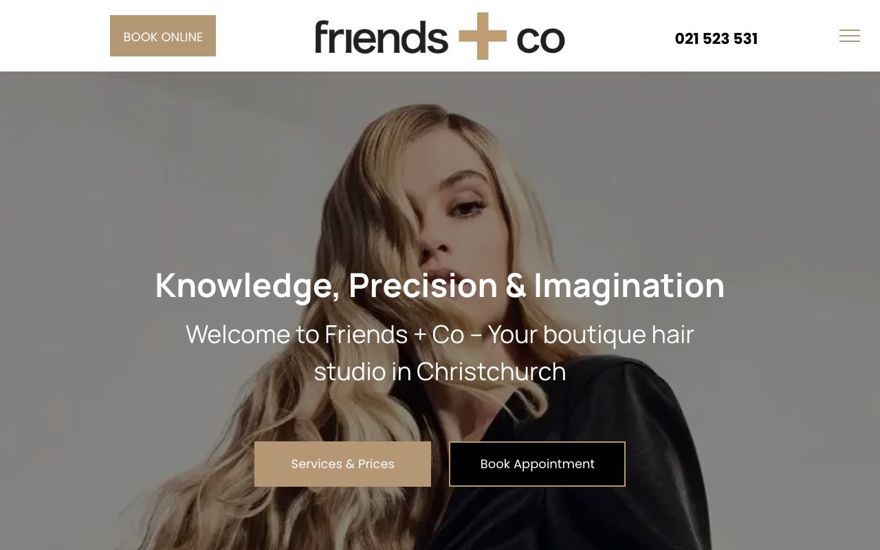 Preview of Corkin and Friends's website