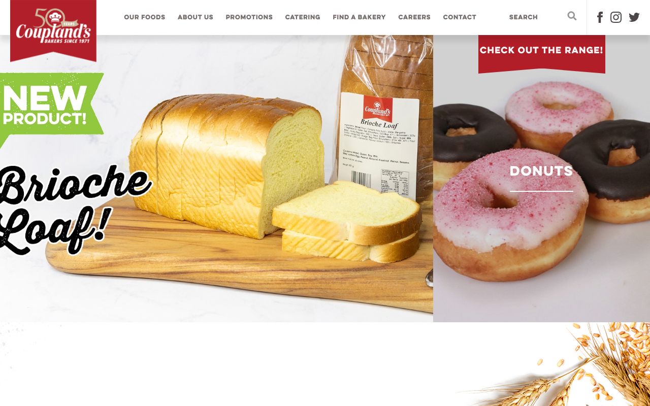Preview of Coupland's's website