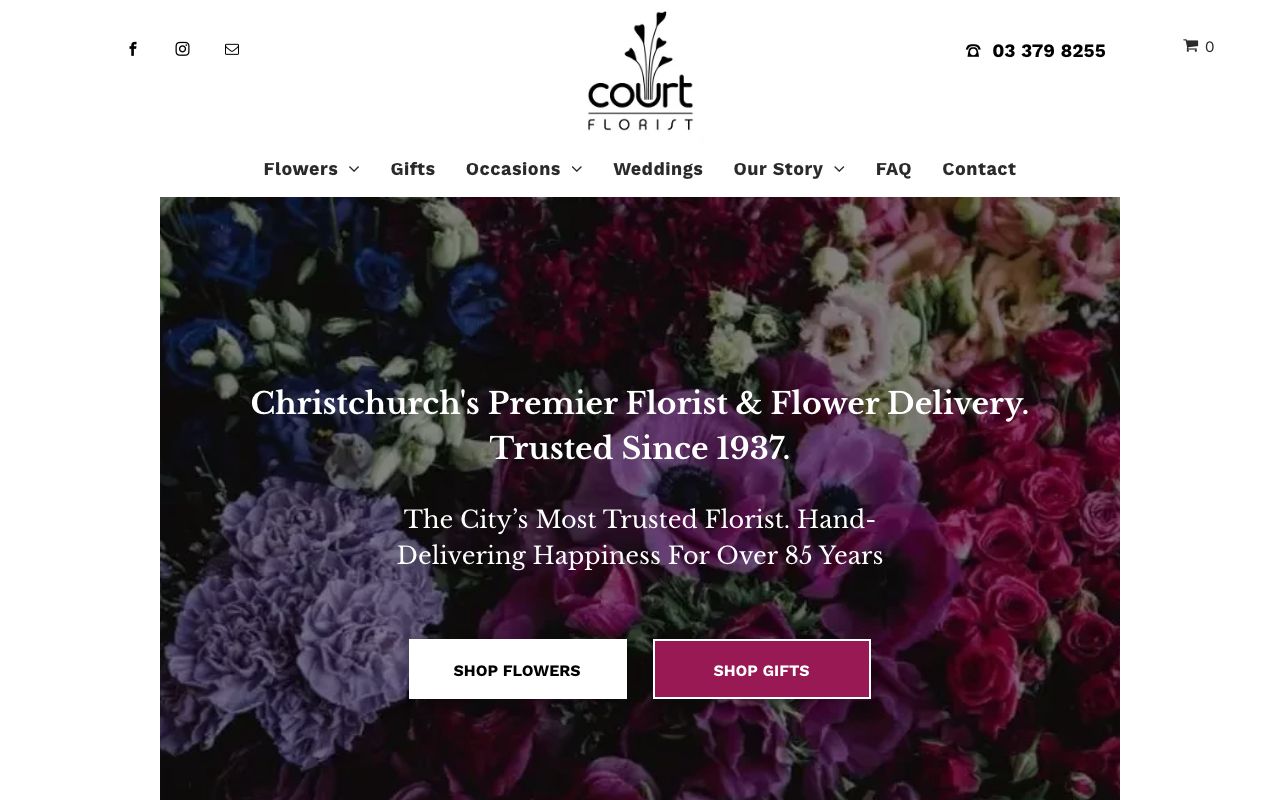 Preview of Court's website