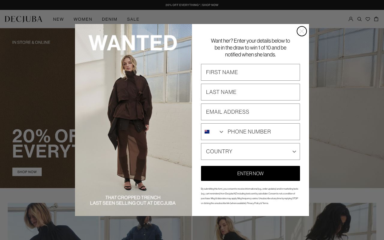 Preview of Decjuba's website