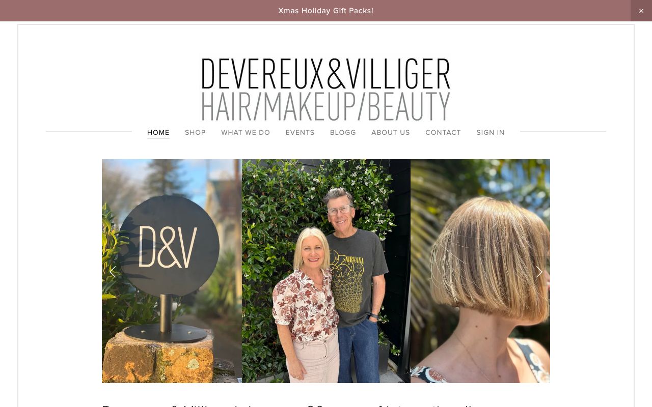 Preview of Devereux & Villiger's website