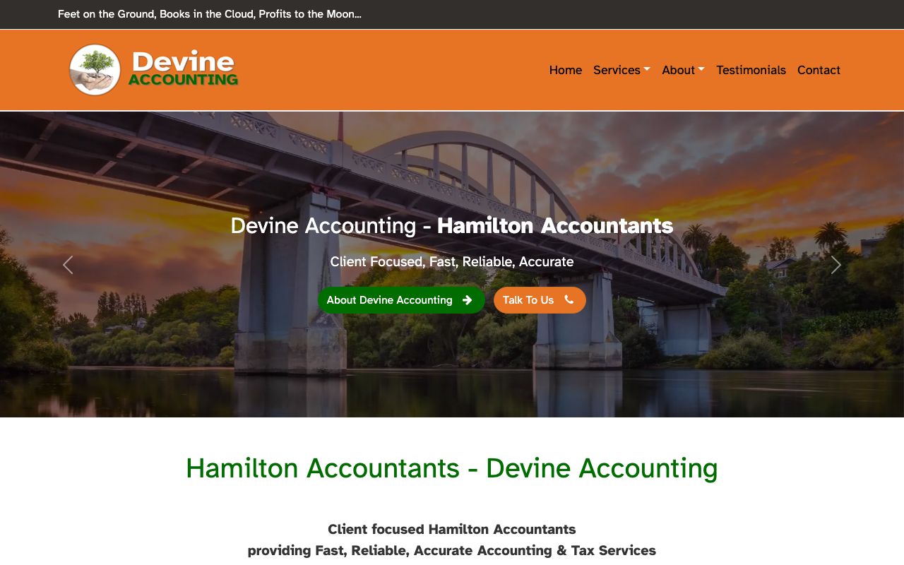 Preview of Devine Accounting/Websites's website