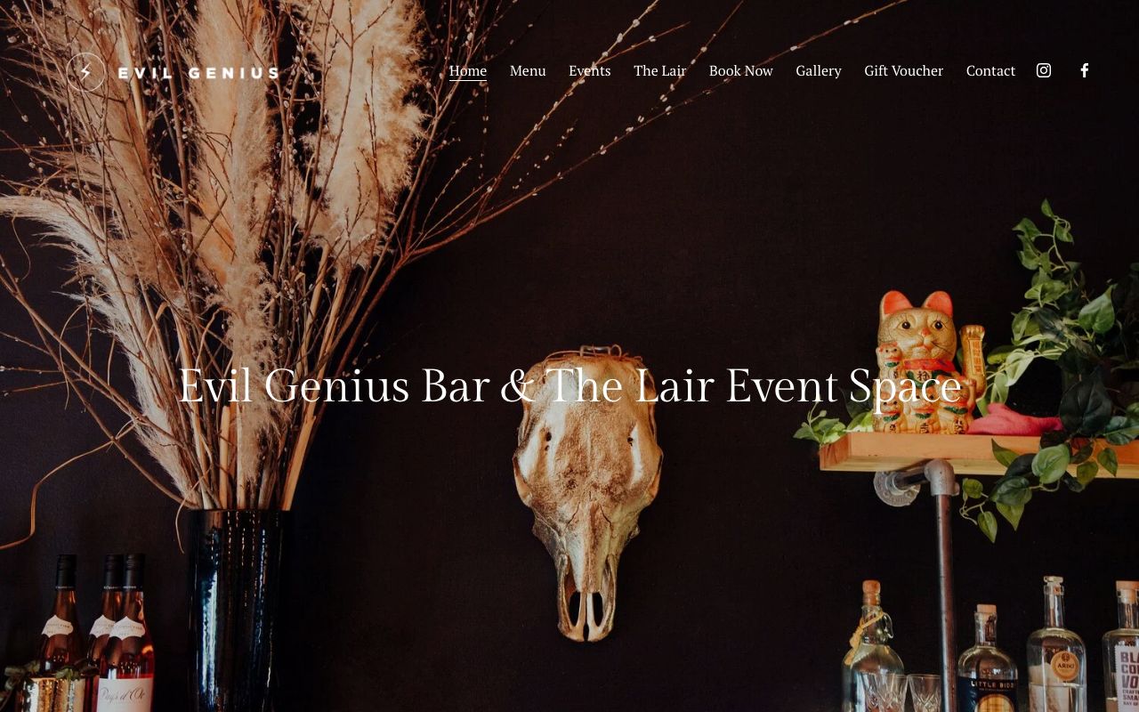 Preview of Evil Genius's website