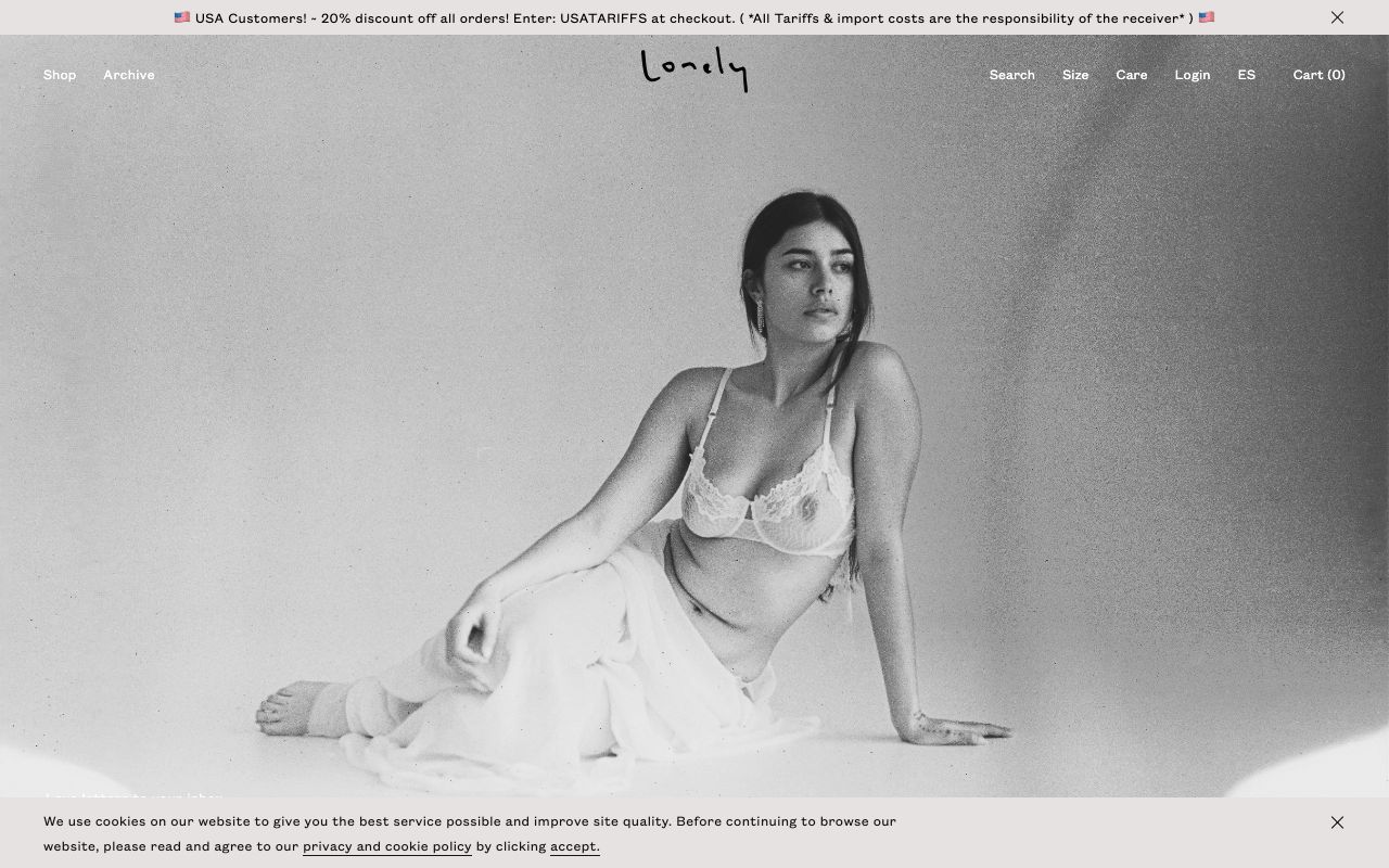 Preview of Fabric's website
