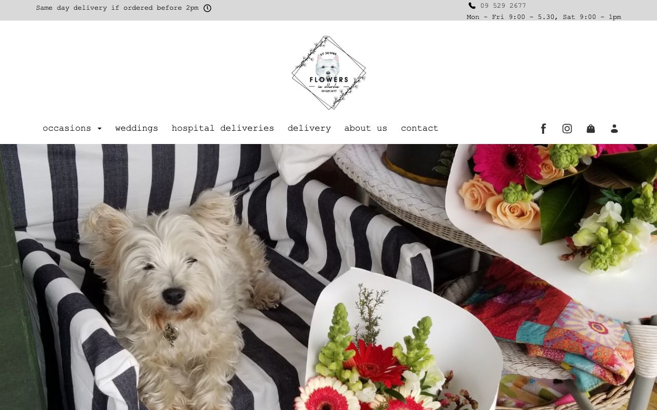 Preview of Flowers of St. Johns's website
