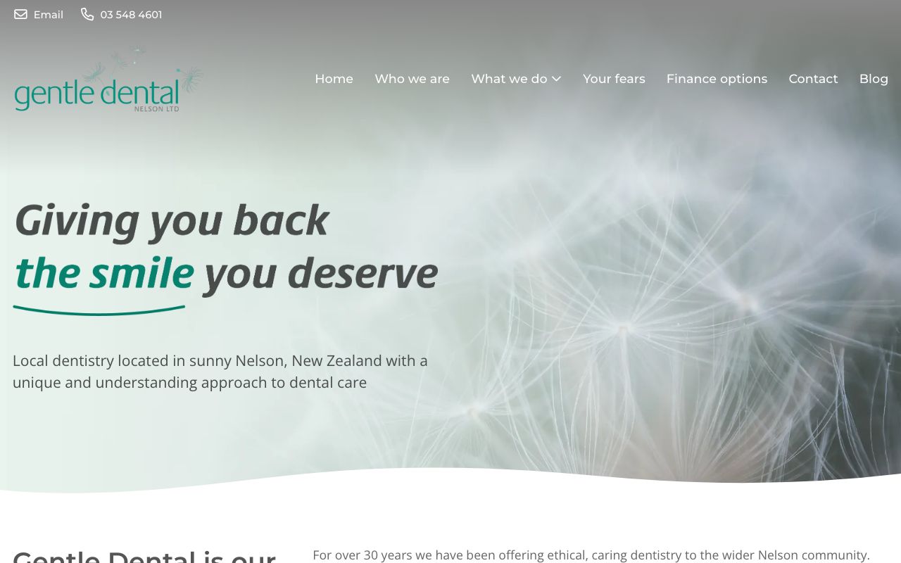 Preview of Gentle Dentle's website