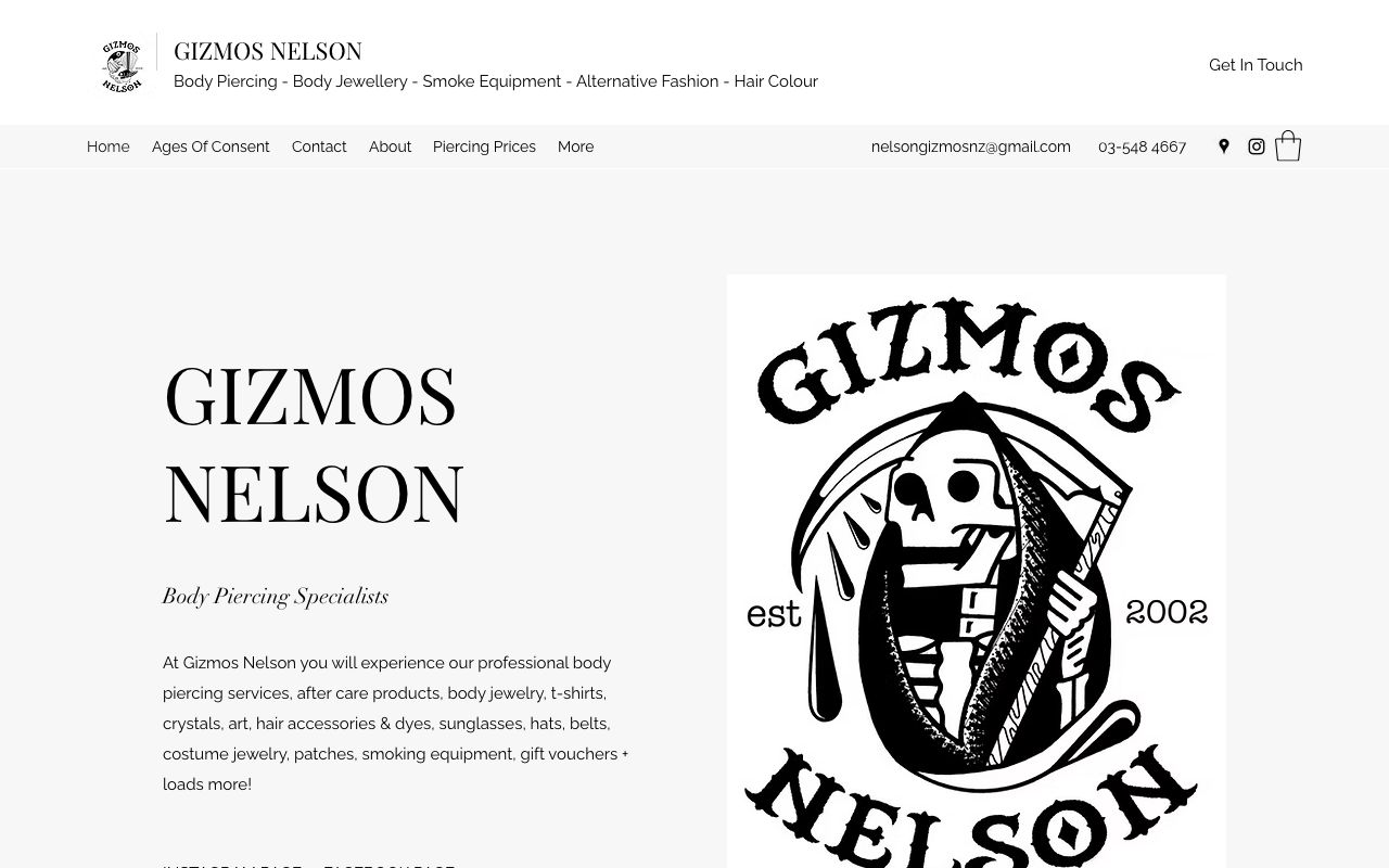 Preview of Gizmos Nelson's website