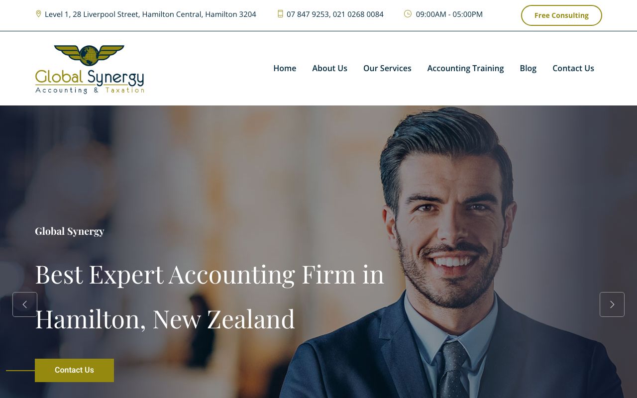 Preview of Global Synergy's website