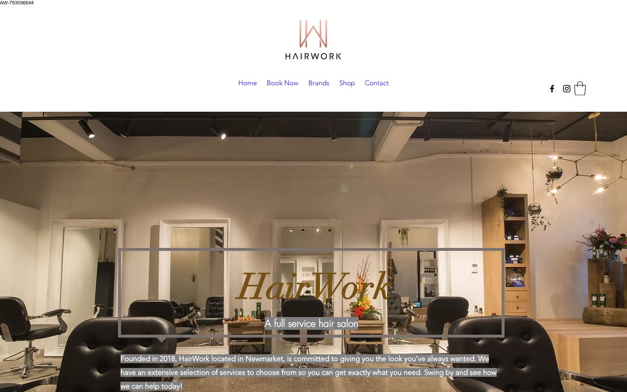 Preview of HairWork's website