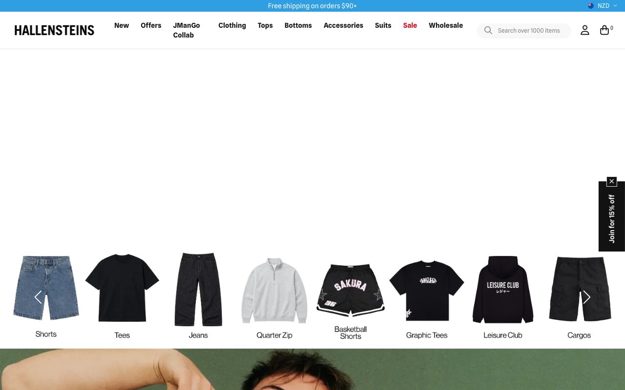 Preview of Hallensteins's website
