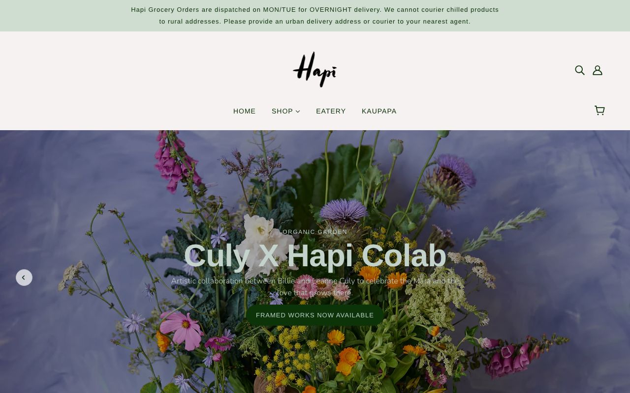 Preview of Hapi's website