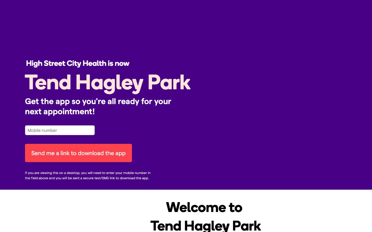 Preview of High Street City Health's website