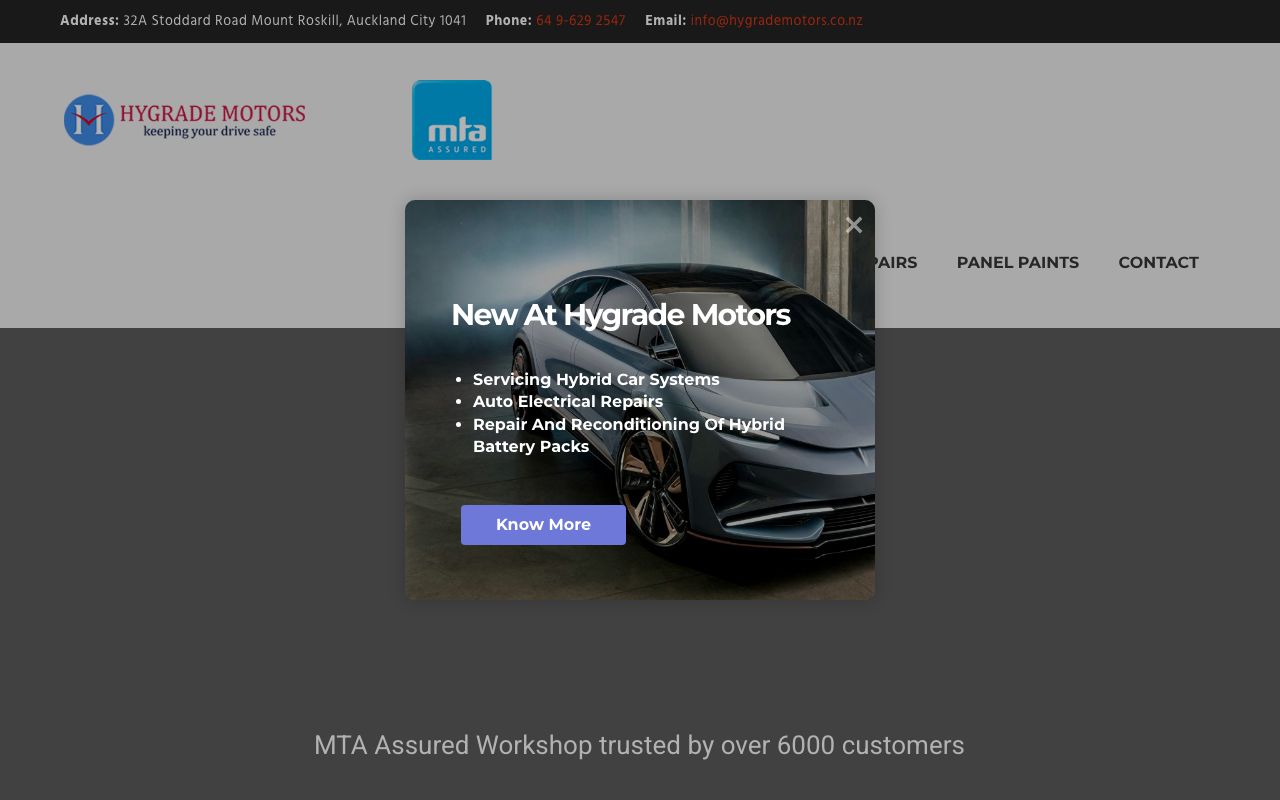 Preview of Hygrade Motors's website