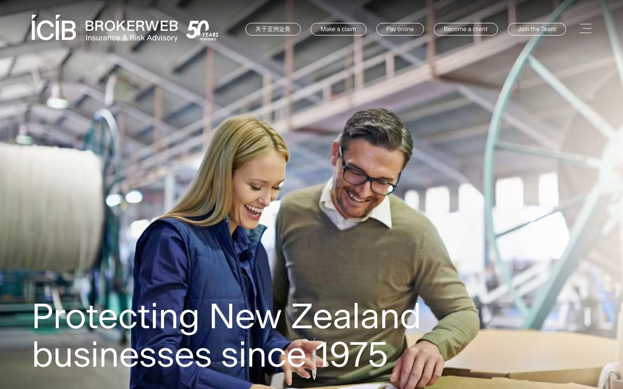 Preview of ICIB's website