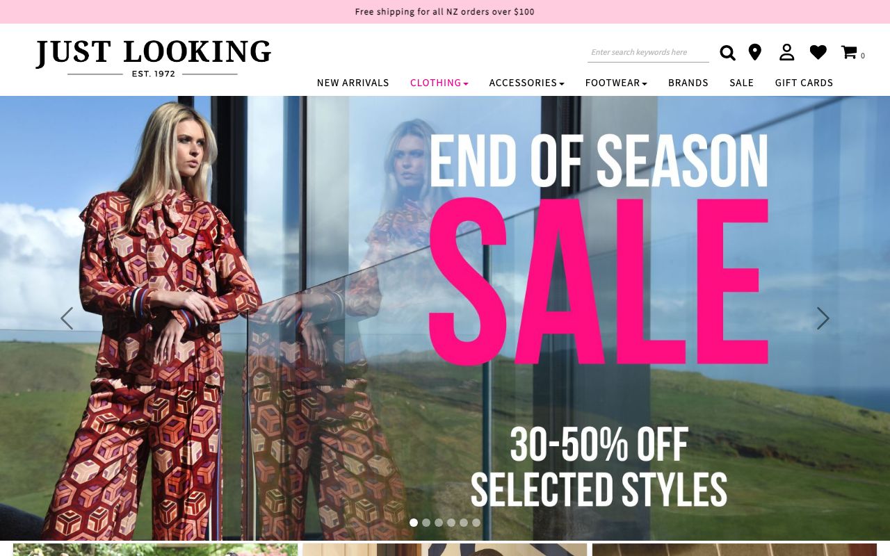 Preview of Just Looking's website