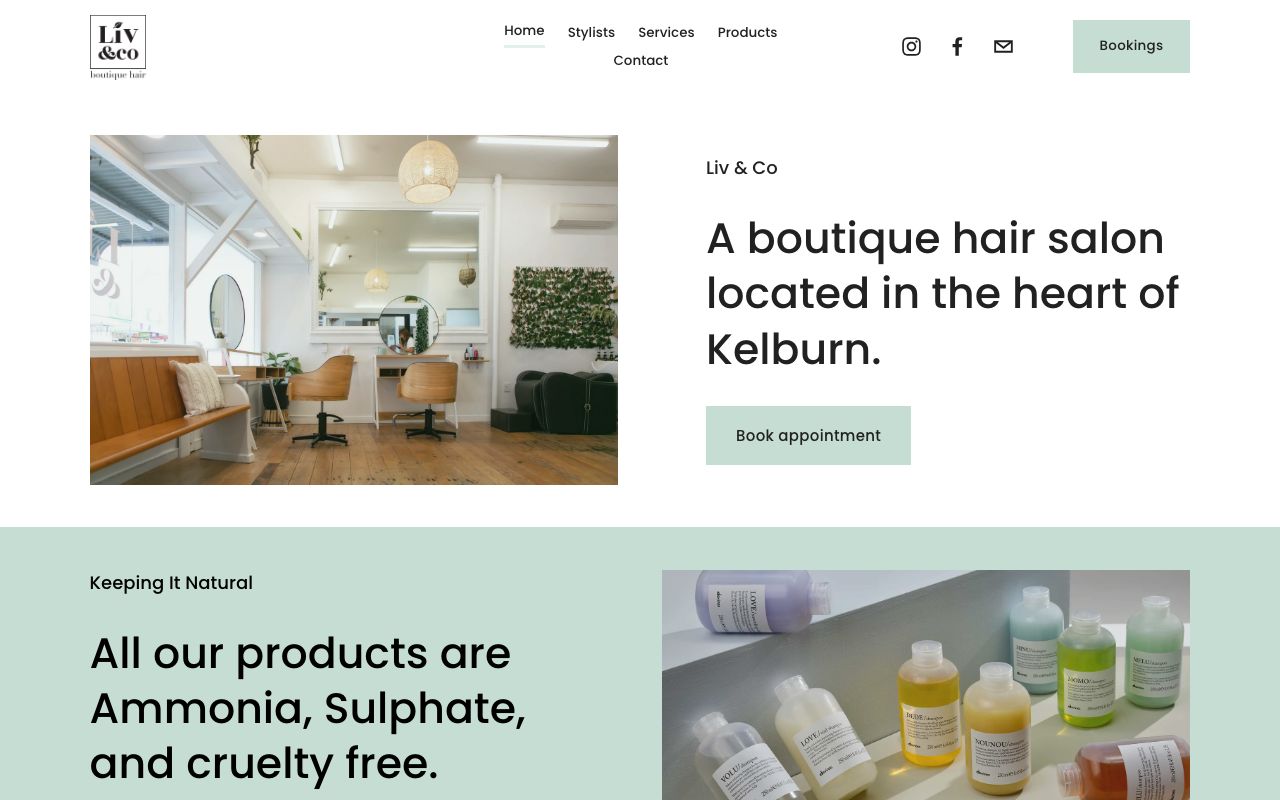 Preview of Liv & Co's website