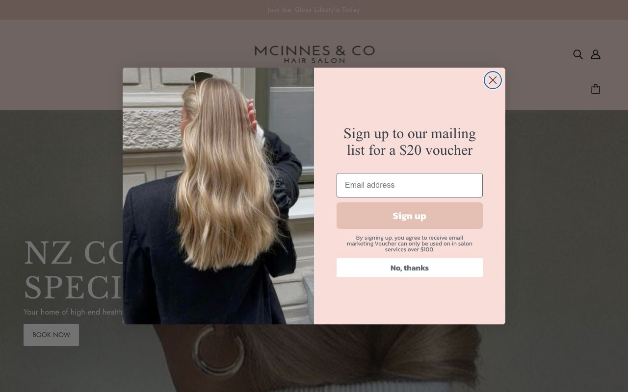 Preview of Mcinnes & Co's website