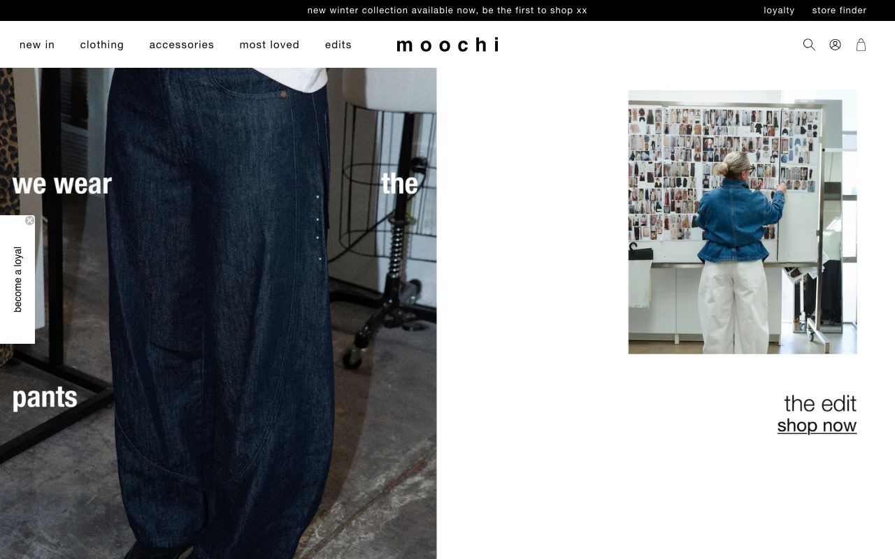 Preview of Moochi's website