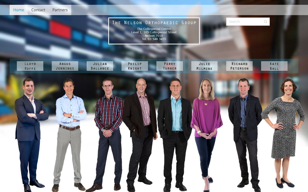 Preview of Nelson Orthopaedic Group's website