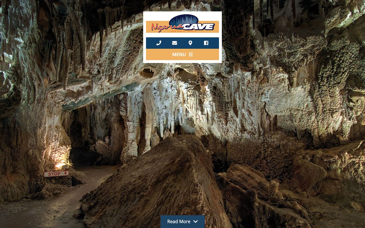 Preview of Ngārua Caves's website
