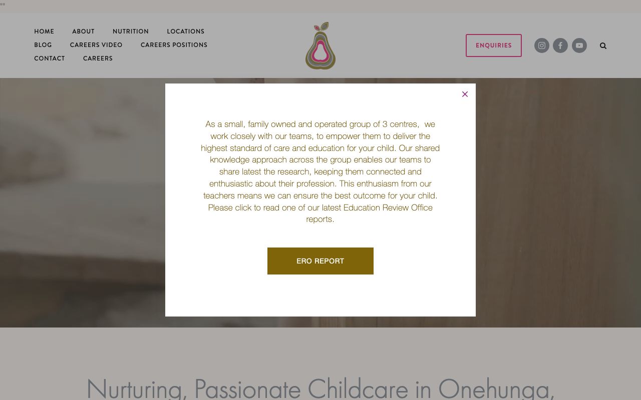 Preview of Nurture Early Learning's website