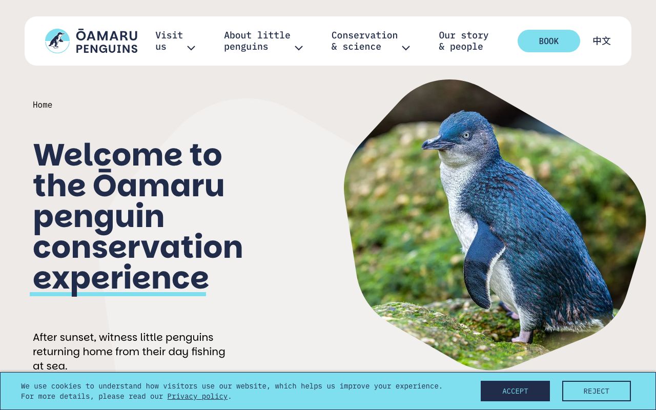 Preview of Ōamaru Blue Penguin Colony's website