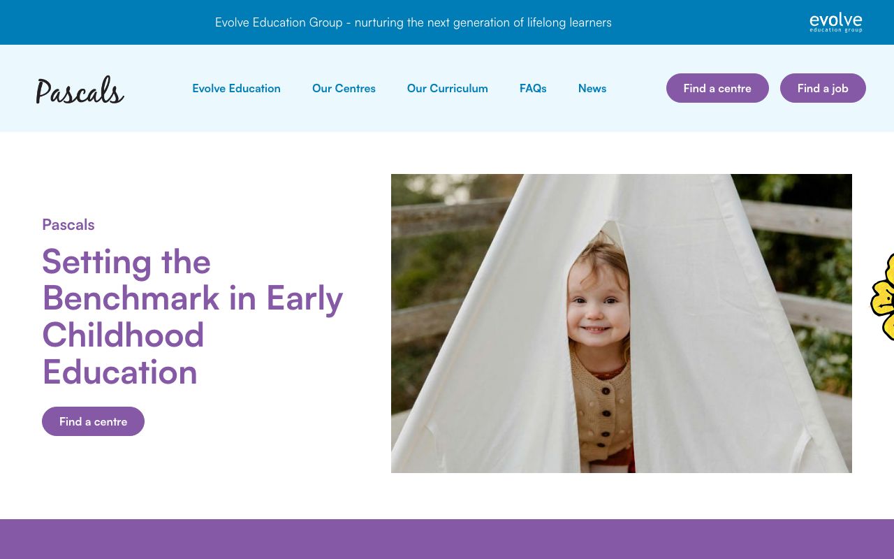 Preview of Pascals's website
