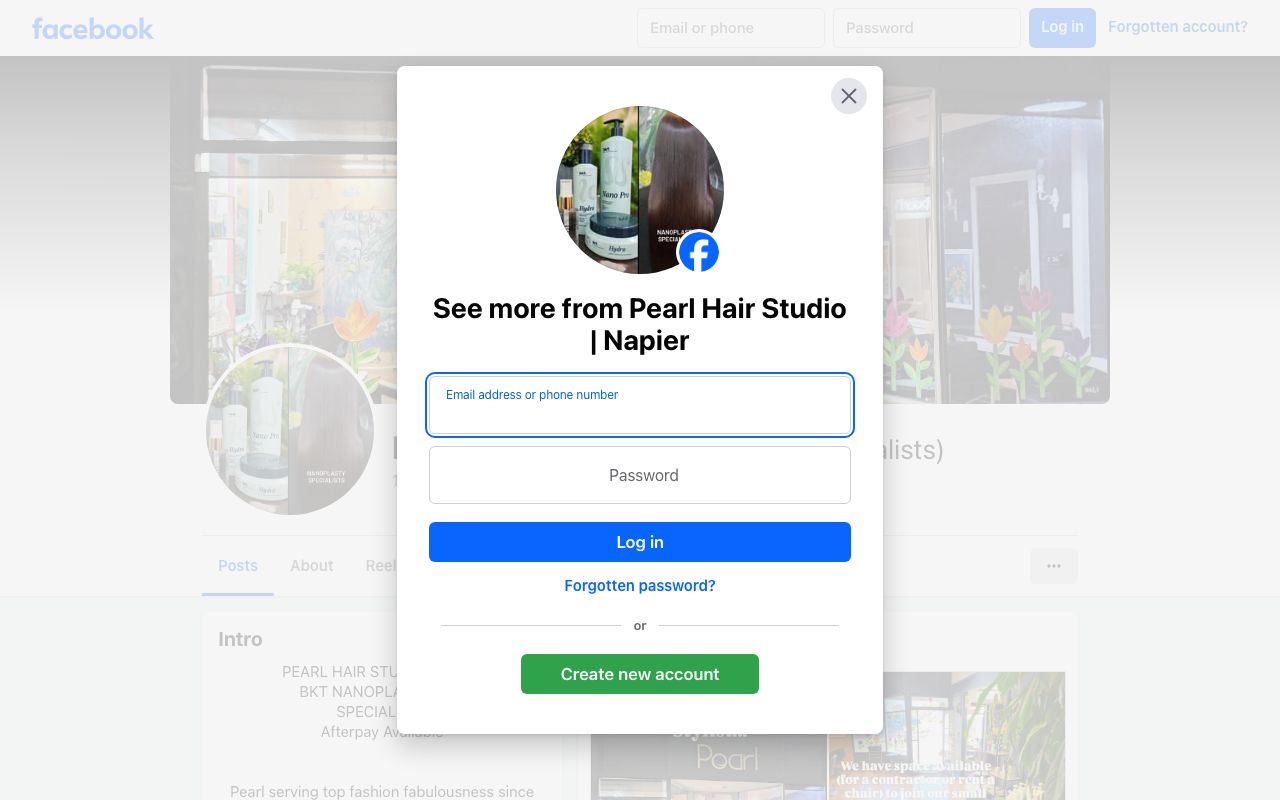 Preview of Pearl's website