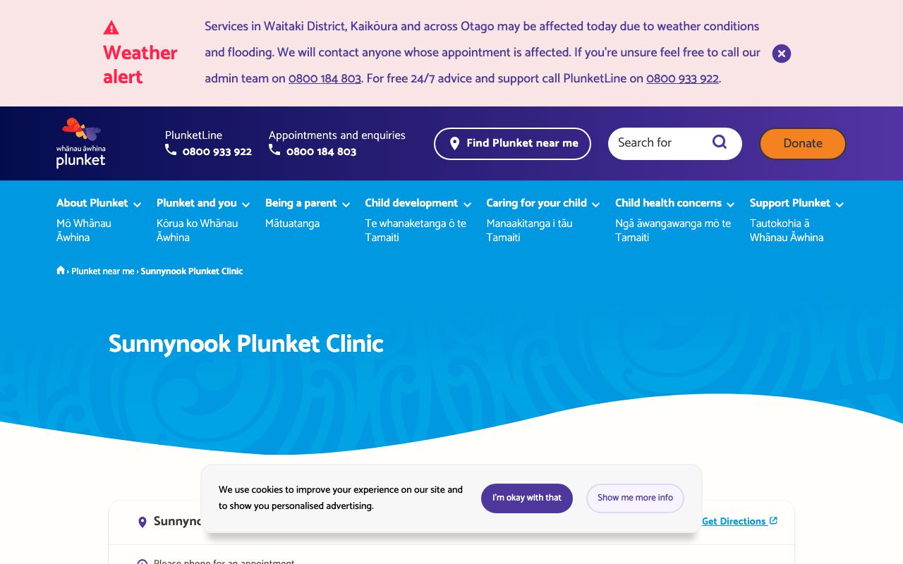 Preview of Plunket's website