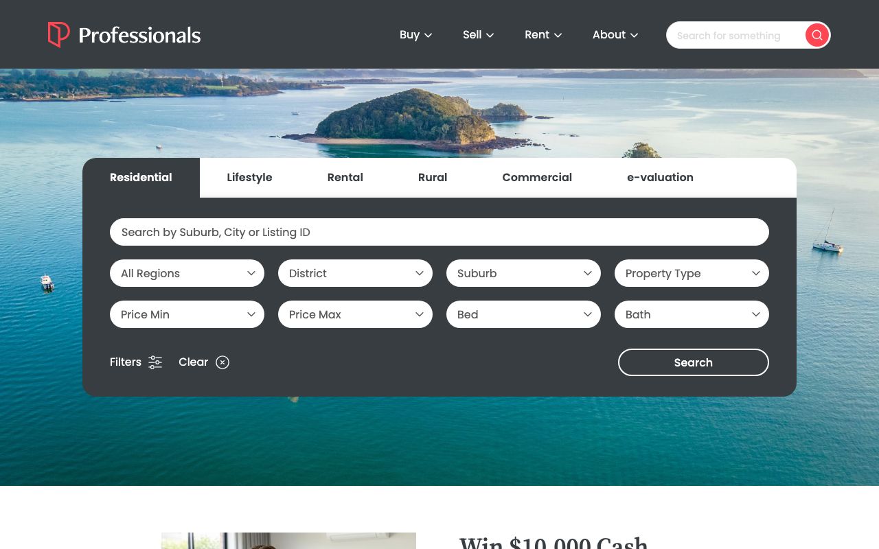 Preview of Professionals's website