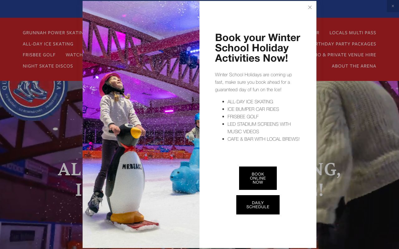 Preview of Queenstown Ice Arena's website