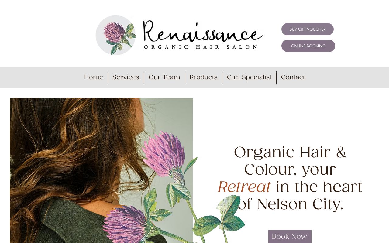 Preview of Renaissance's website