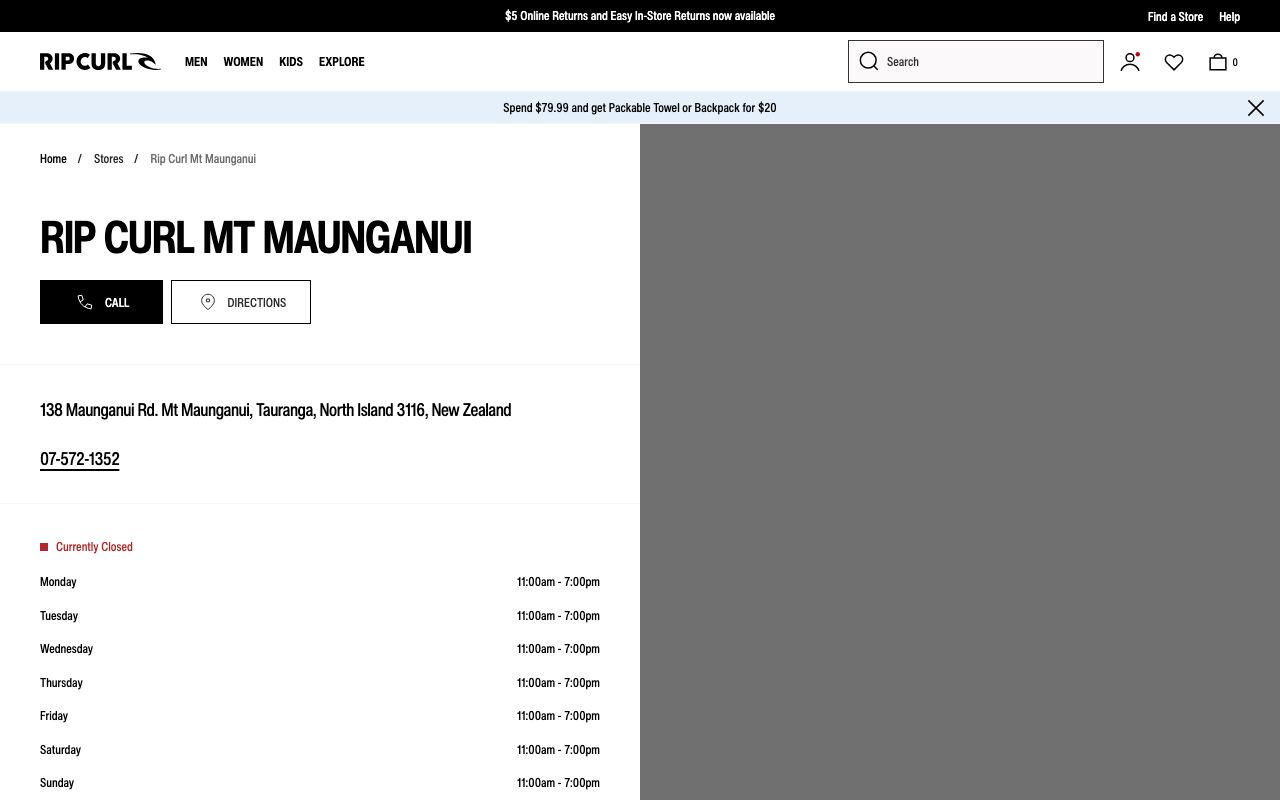 Preview of Rip Curl's website